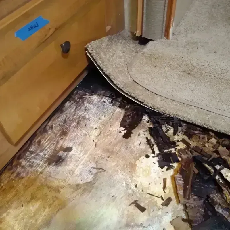 Best Wood Floor Water Damage Service in Mankato, MN